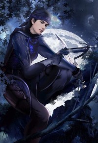 魔王向你发出组队申请